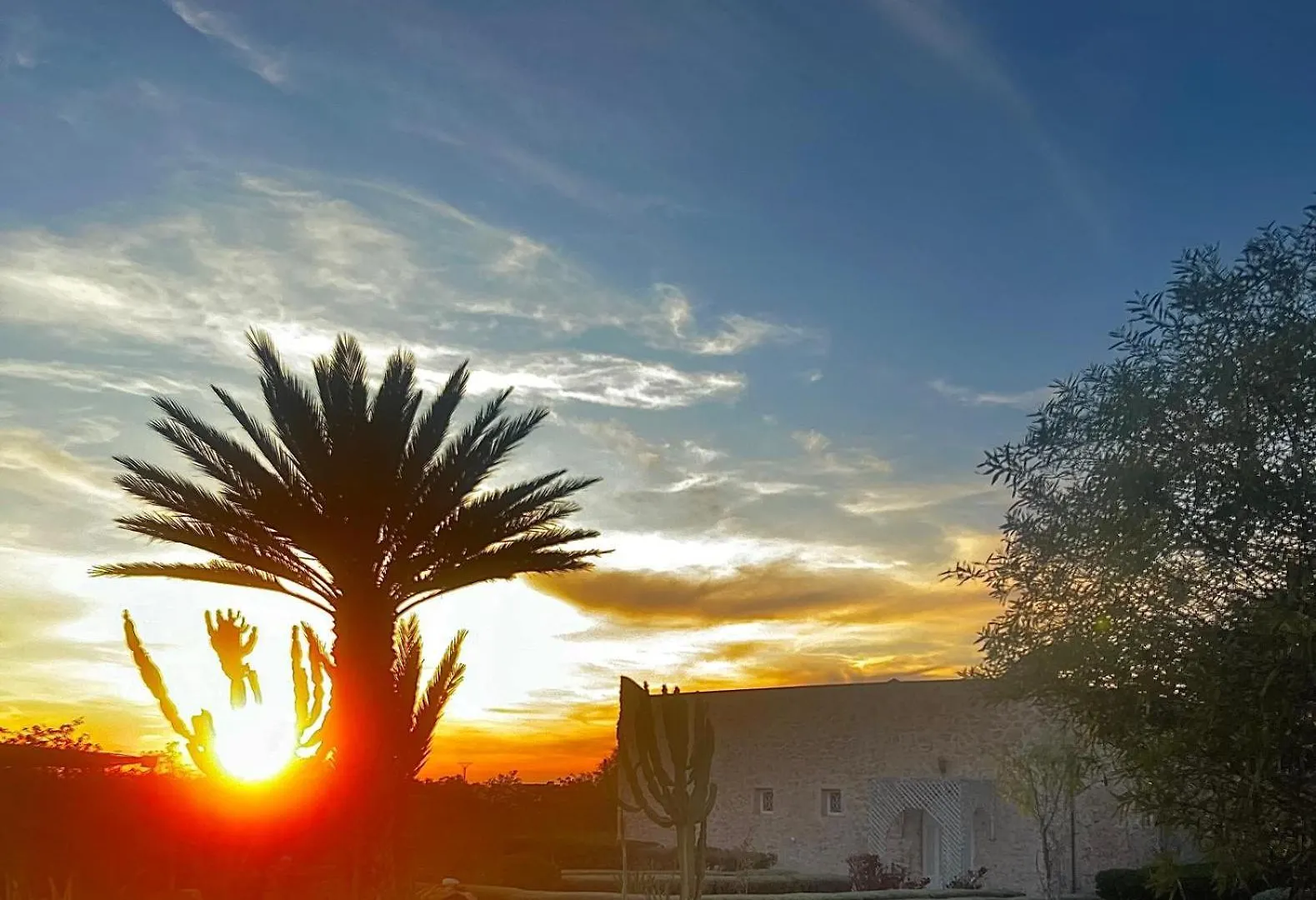 Maison Mimosa, Lovely 3 Bedroom Villa With A Large Pool Essaouira 0*,  Morocco